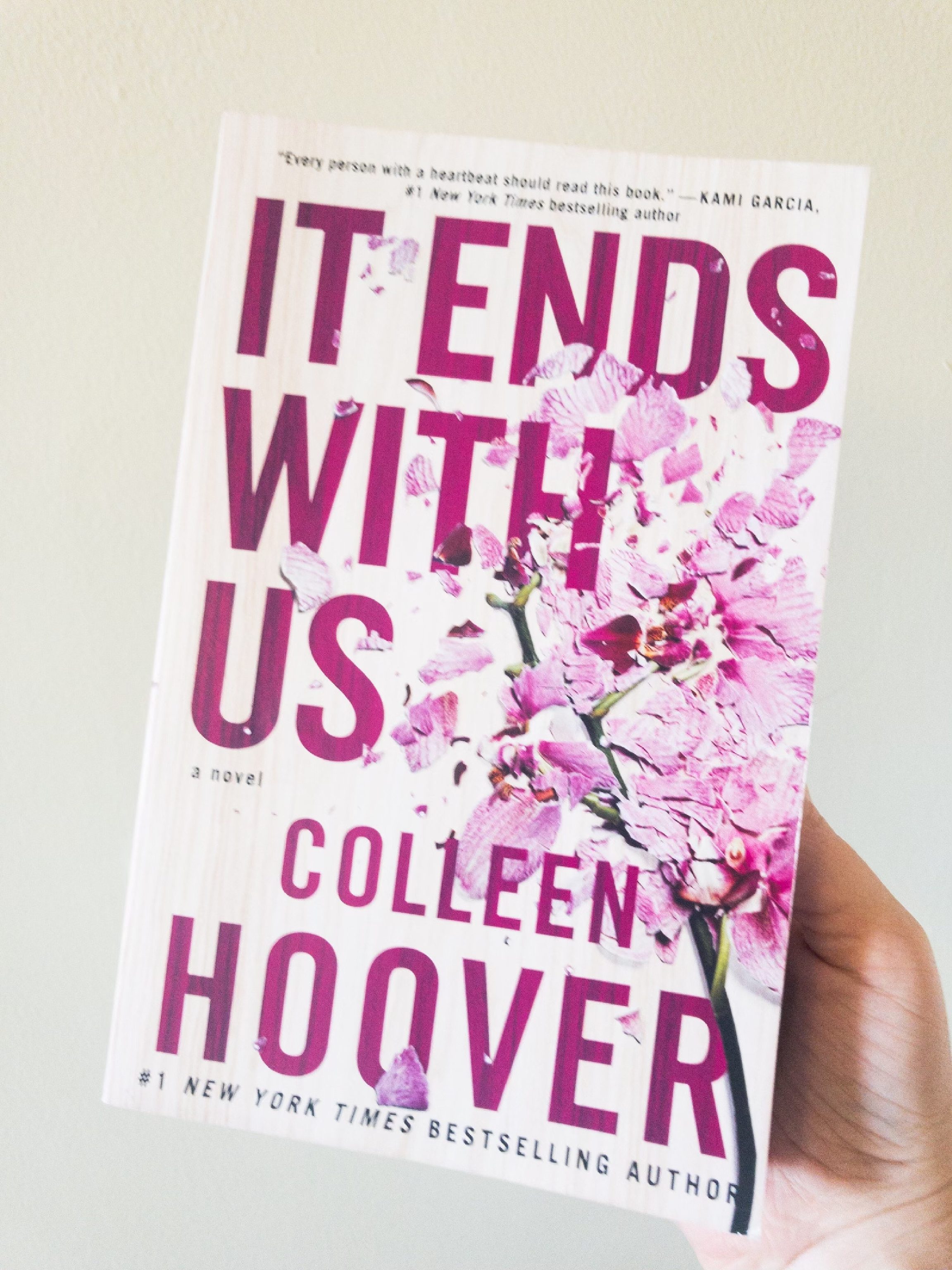 review of book it ends with us